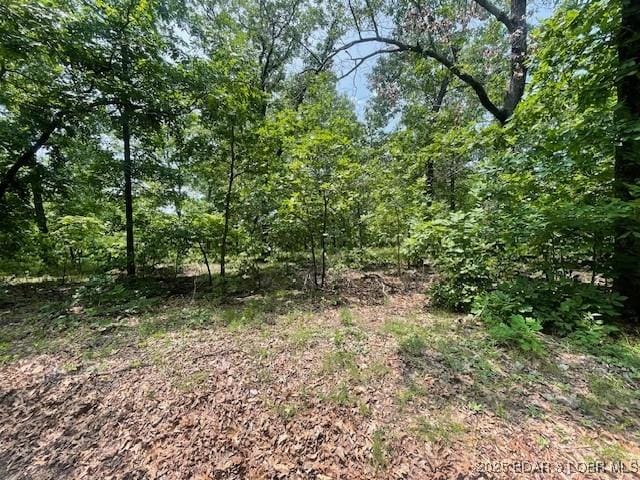 Adkins Rd, Climax Springs, MO 65324