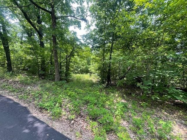 Adkins Rd, Climax Springs, MO 65324