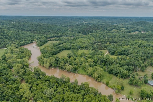 4506 Tunnel Dam Rd, Macks Creek, MO 65786