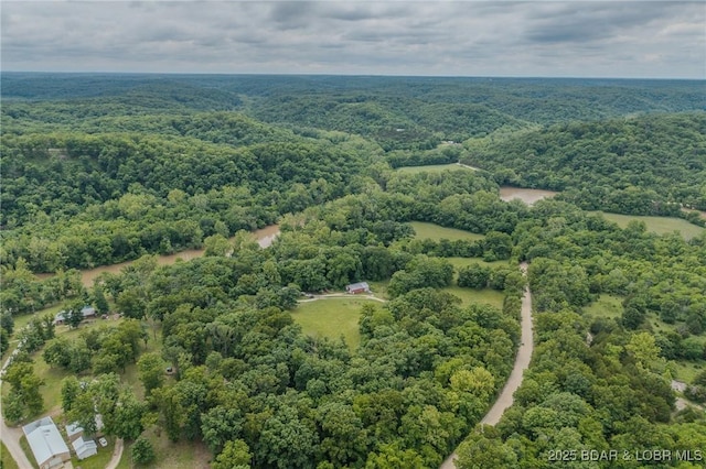4506 Tunnel Dam Rd, Macks Creek, MO 65786