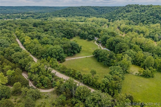 4506 Tunnel Dam Rd, Macks Creek, MO 65786
