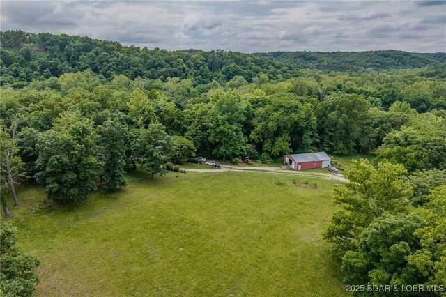 4506 Tunnel Dam Rd, Macks Creek, MO 65786