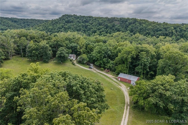 4506 Tunnel Dam Rd, Macks Creek, MO 65786