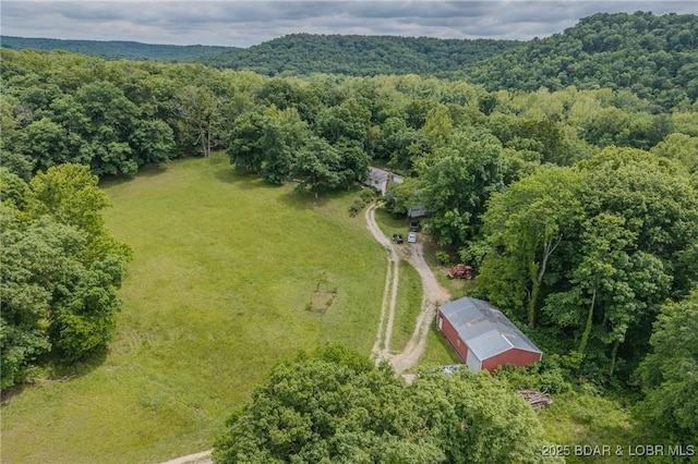 4506 Tunnel Dam Rd, Macks Creek, MO 65786