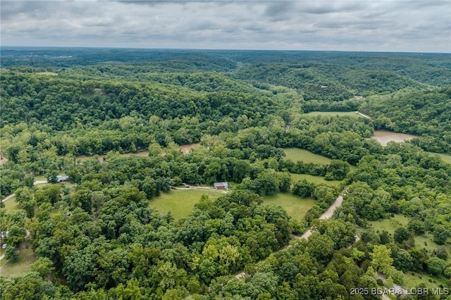 4506 Tunnel Dam Rd, Macks Creek, MO 65786