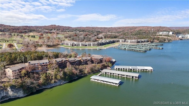 111 Rock Dove Ln Unit 3A, Camdenton, MO 65020 - bird's eye view of a large body of water