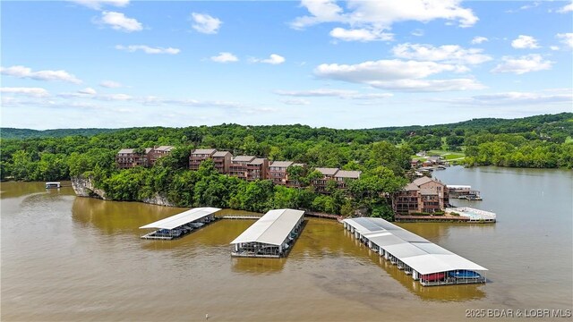 111 Rock Dove Ln Unit 3A, Camdenton, MO 65020 - dock with a wooded view and a water view