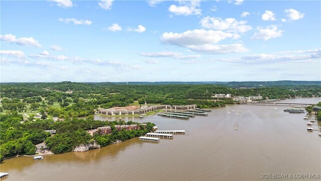 111 Rock Dove Ln Unit 3A, Camdenton, MO 65020 - aerial view of a forest and a large body of water