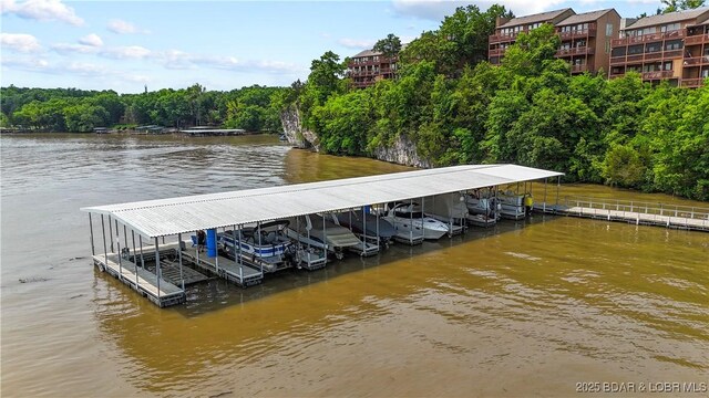 111 Rock Dove Ln Unit 3A, Camdenton, MO 65020 - dock featuring a water view and boat lift