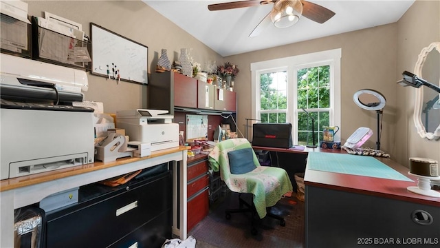 660 Upper Prairie Hollow Rd, Macks Creek, MO 65786 - office space with ceiling fan