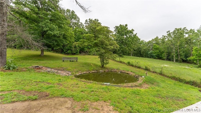 660 Upper Prairie Hollow Rd, Macks Creek, MO 65786 - view of green lawn