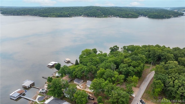 864 Four Waters Dr, Sunrise Beach, MO 65079 - bird's eye view of a nearby body of water and a forest