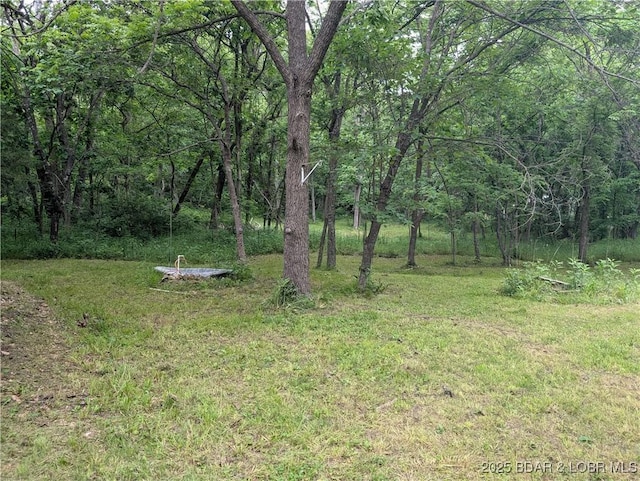 1489 Dodds Camp Rd, Climax Springs, MO 65324 - photo 14