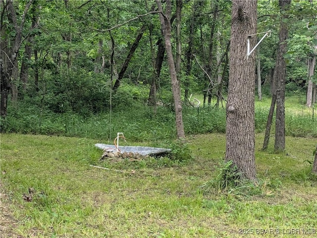 1489 Dodds Camp Rd, Climax Springs, MO 65324 - photo 15