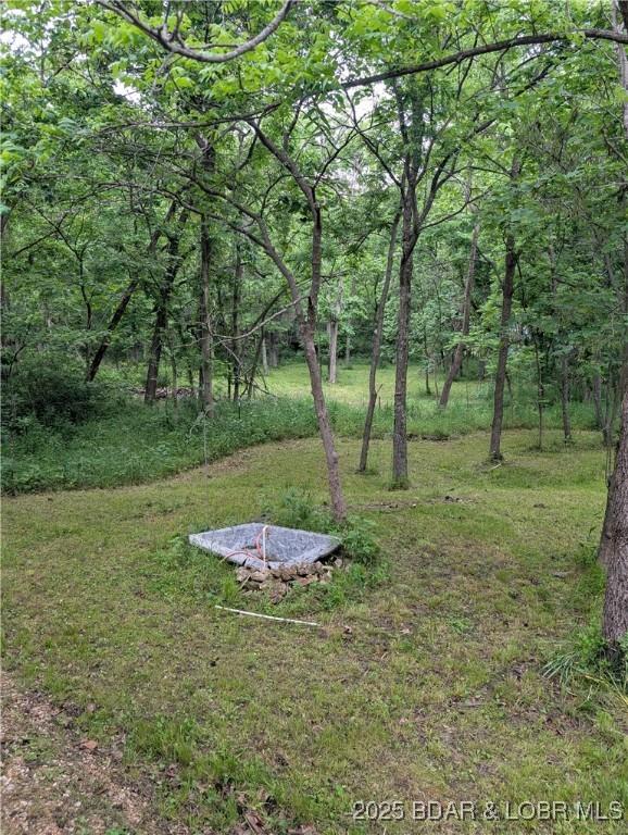 1489 Dodds Camp Rd, Climax Springs, MO 65324 - photo 24
