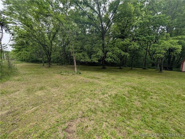 1489 Dodds Camp Rd, Climax Springs, MO 65324 - photo 11