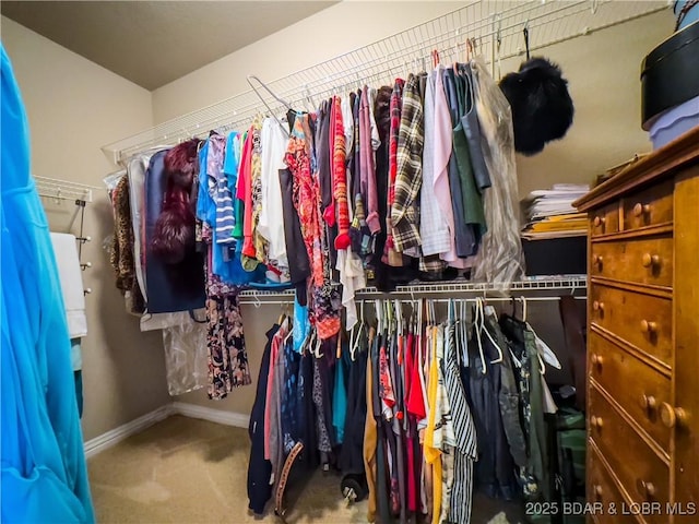 134 Heavenly Days Cir Unit 3A, Camdenton, MO 65020 - spacious closet with carpet