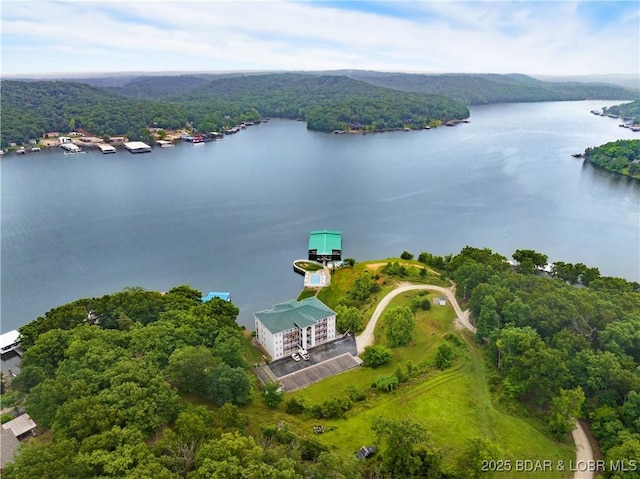 134 Heavenly Days Cir Unit 3A, Camdenton, MO 65020 - bird's eye view of a nearby body of water and a forest