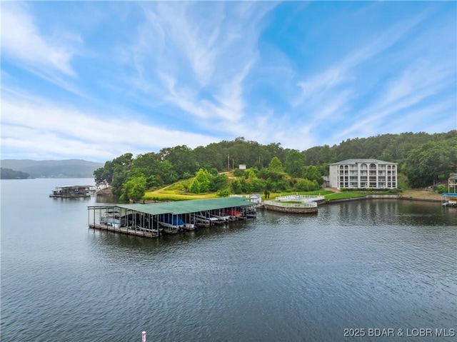 134 Heavenly Days Cir Unit 3A, Camdenton, MO 65020 - dock with a water view