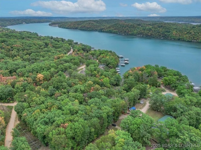 34546 Ivy Bend Rd, Stover, MO 65018 - bird's eye view of a forest and a nearby body of water