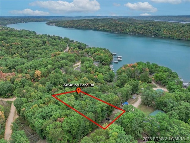 34546 Ivy Bend Rd, Stover, MO 65018 - view of property location featuring a forest, a large body of water, and property boundaries highlighted