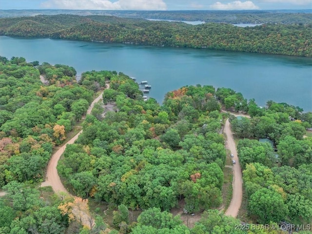 34546 Ivy Bend Rd, Stover, MO 65018 - view of property location with a heavily wooded area and a nearby body of water