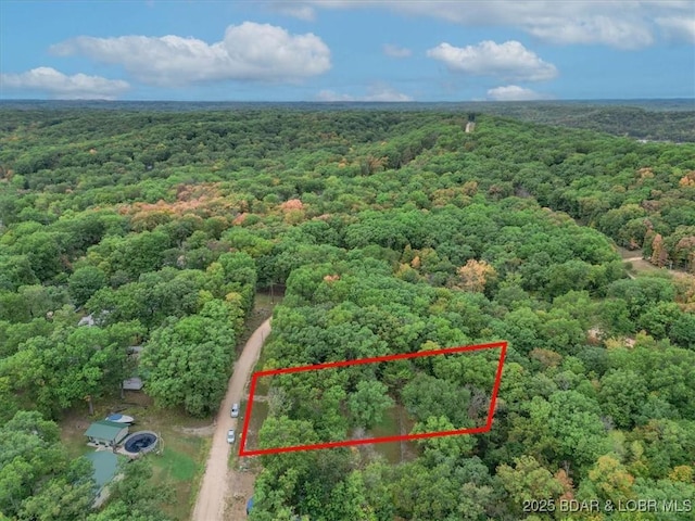 34546 Ivy Bend Rd, Stover, MO 65018 - view of property location with a heavily wooded area and property boundaries highlighted