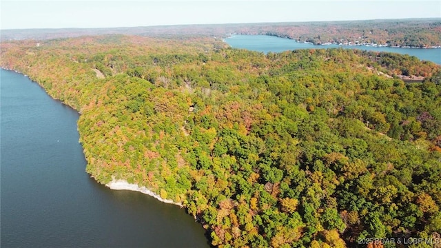 2 Coffman Bend Dr, Climax Springs, MO 65324
