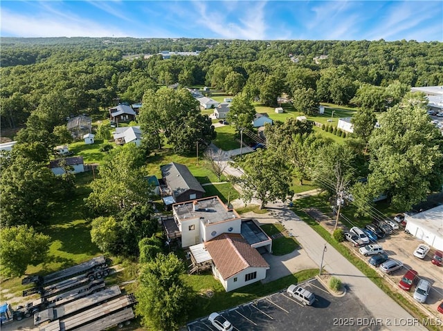 45 Lake Rd, Camdenton, MO 65020 - photo 39