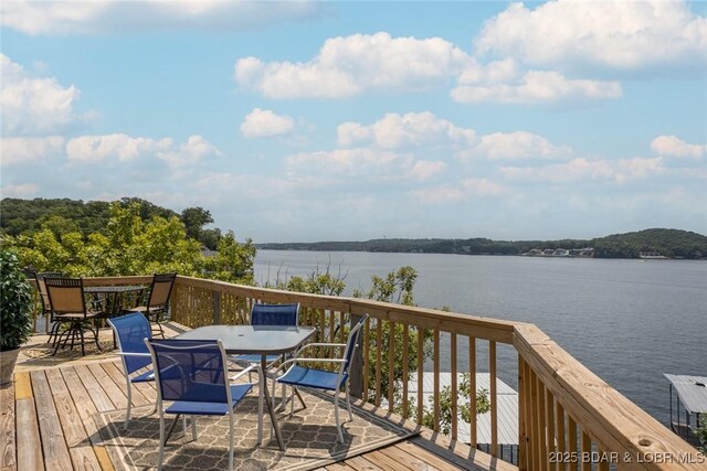 31394 Paradise Pt, Rocky Mount, MO 65072 - photo 30