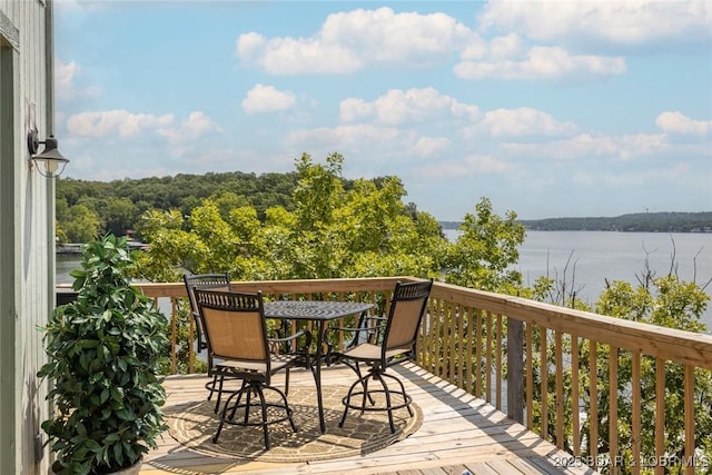 31394 Paradise Pt, Rocky Mount, MO 65072 - photo 32