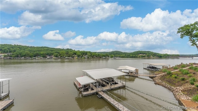 429 Pebble Dr, Camdenton, MO 65020 - photo 32