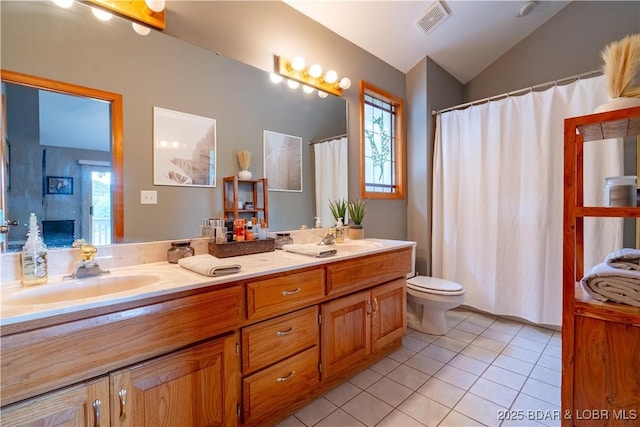 42 Rhine River Rd, Sunrise Beach, MO 65079 - full bathroom with vaulted ceiling, double vanity, tile patterned floors, plenty of natural light, and toilet