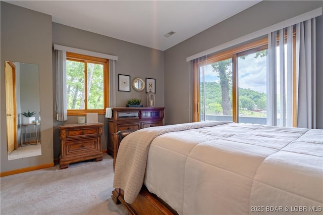 42 Rhine River Rd, Sunrise Beach, MO 65079 - bedroom with multiple windows, carpet floors, and baseboards