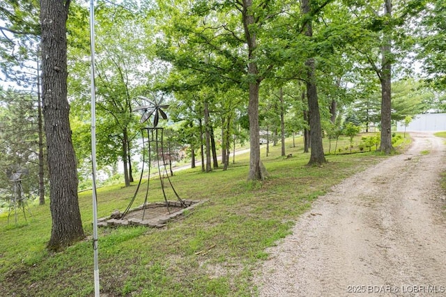 42 Rhine River Rd, Sunrise Beach, MO 65079 - view of yard