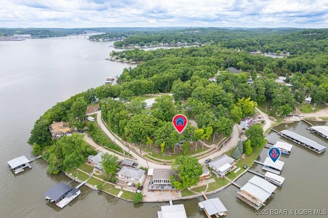 42 Rhine River Rd, Sunrise Beach, MO 65079 - drone / aerial view of a large body of water and a heavily wooded area
