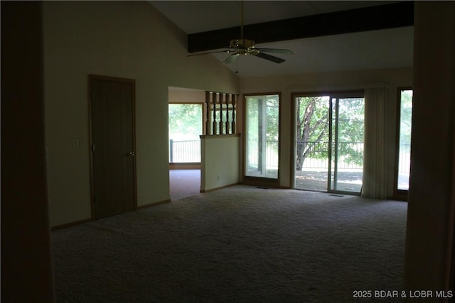 105 Birdie Dr, Gravois Mills, MO 65037 - unfurnished room with carpet flooring, plenty of natural light, and a ceiling fan