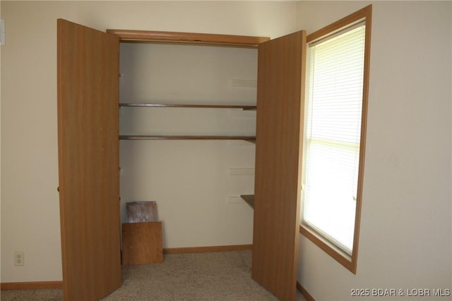 105 Birdie Dr, Gravois Mills, MO 65037 - view of closet