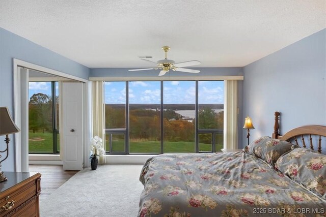 37 La Jolla Dr Unit 3C, Lake Ozark, MO 65049 - carpeted bedroom featuring a ceiling fan