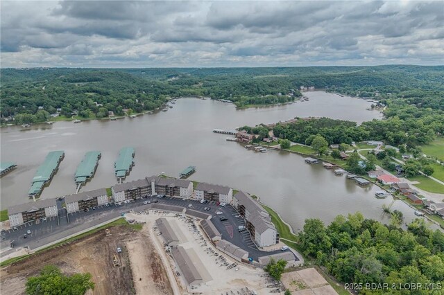 272 Cedar Glen Dr Unit 3A, Camdenton, MO 65020 - aerial view of a large body of water and a forest