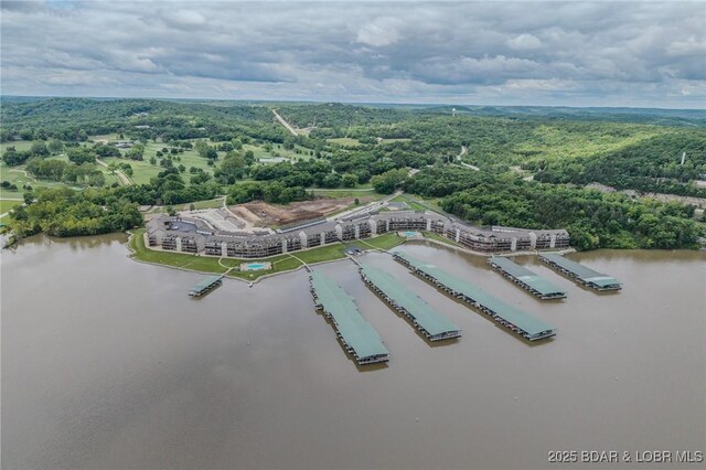 272 Cedar Glen Dr Unit 3A, Camdenton, MO 65020 - bird's eye view of a forest and a nearby body of water