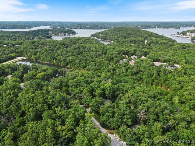189 Cornett Dr, Four Seasons, MO 65049 - photo 40