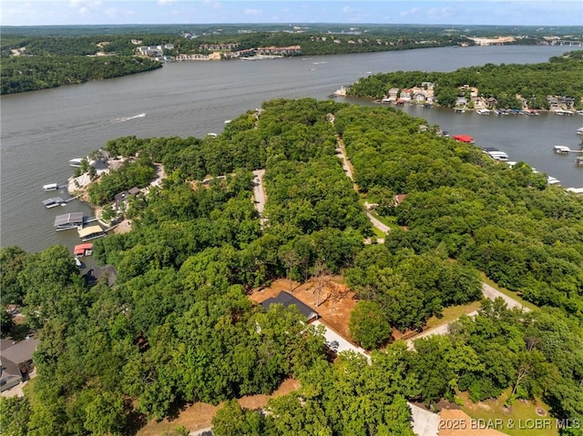 55 Turn Bridge Ln, Porto Cima, MO 65079 - aerial view of a large body of water