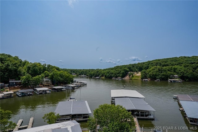 28 Wheel House Cir Unit A-4, Four Seasons, MO 65049 - dock area featuring a forest view and a water view