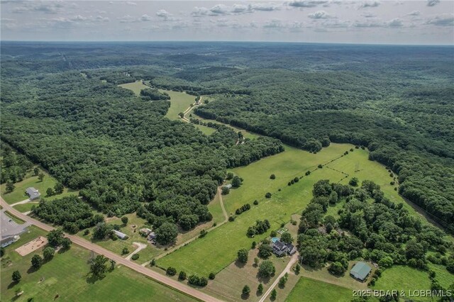 149 Birdhouse Ln, Roach, MO 65787 - photo 46