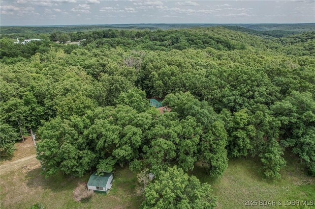149 Birdhouse Ln, Roach, MO 65787 - photo 39