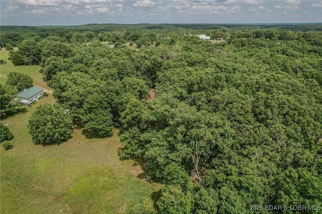 149 Birdhouse Ln, Roach, MO 65787 - photo 40