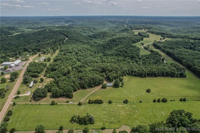 149 Birdhouse Ln, Roach, MO 65787 - photo 42
