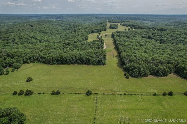 149 Birdhouse Ln, Roach, MO 65787 - photo 44