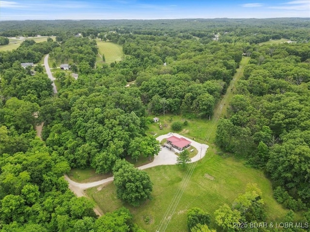 31126 Copperfield Rd, Gravois Mills, MO 65037 - photo 11